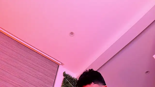 Erick_Velvethの配信中の画面