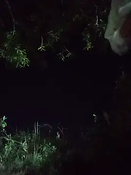 ANGELCHINO009