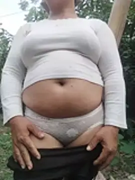 Salaakis