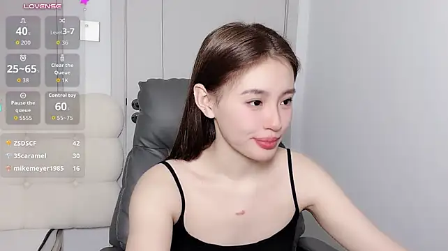 H-2005 webcam