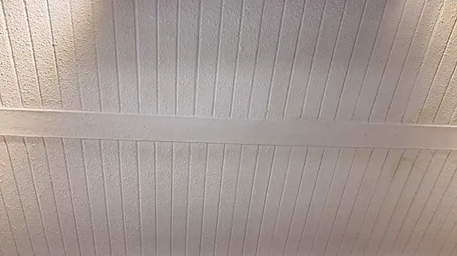 adamyevevg