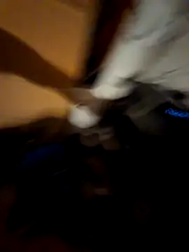 Frankyboy335