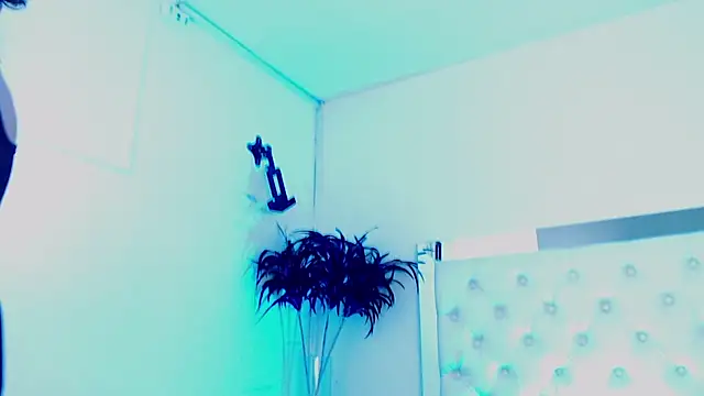 AntonellaColis live cam on Stripchat