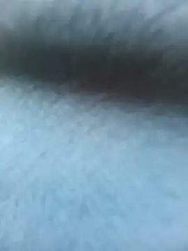 Lusty_trailer live cam