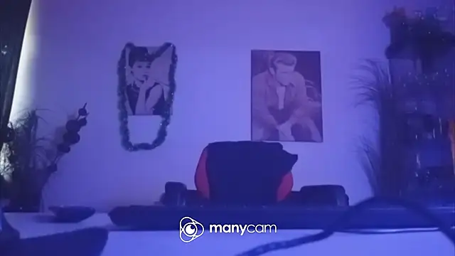 der_dino30 webcam