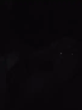 chanelsexx webcam