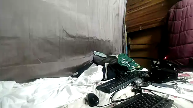 Camodick的直播畫面