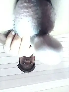 MUHDIC live cam