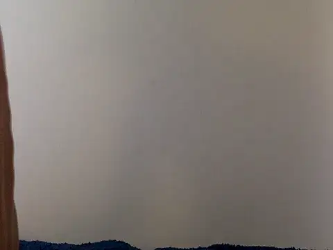 wizsant的直播畫面