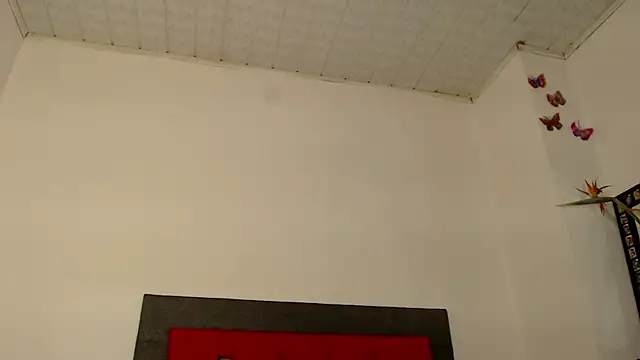 angelicatsx live cam on Stripchat