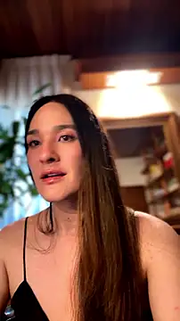 Modelo: ayumiiitrans