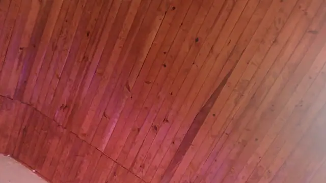 ArturoCardona_的直播畫面