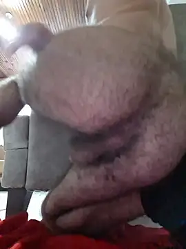 virginhairyboy20