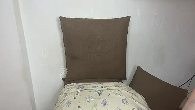 velvetvista的直播畫面