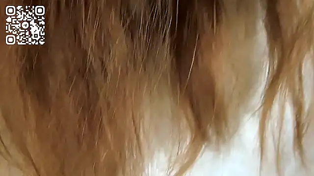 JacklynSwisshelm live now