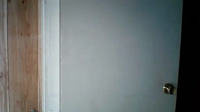 starlight1983