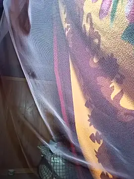huaeee的直播畫面