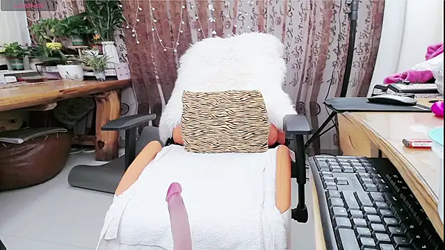 amysasa