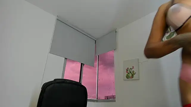 Modèle: barbie_ds