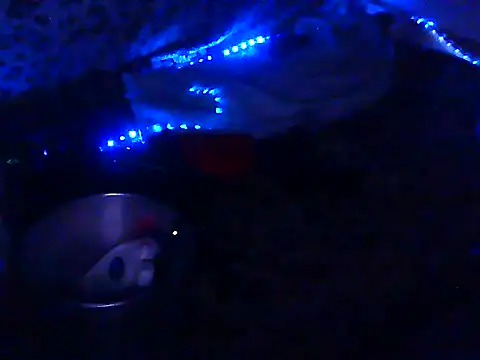 PaPPasi2 webcam