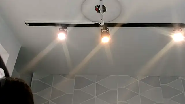 Barbara_fox__