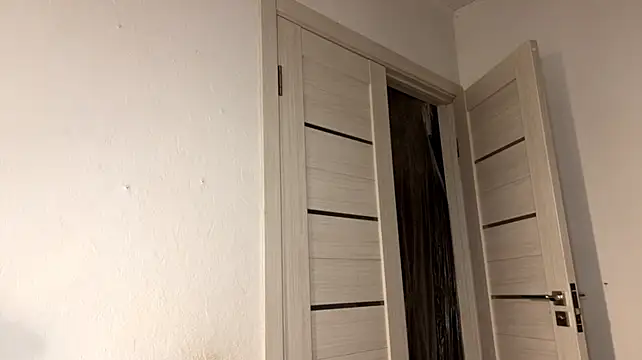 ShannanWohlersの配信中の画面