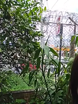 Yuky_ta live cam