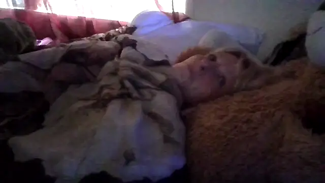GiggleCatalyst live cam on Stripchat