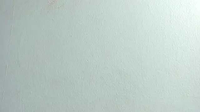 camila2023_ live cam
