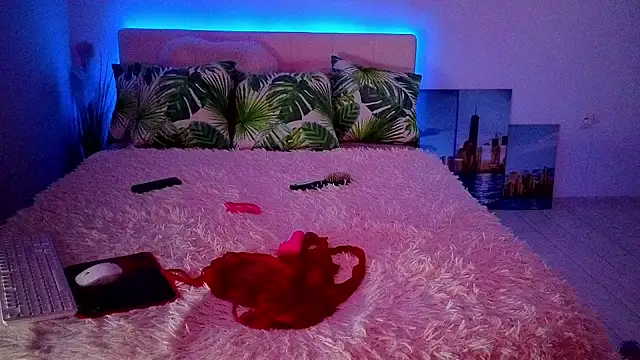 lennydream的直播画面