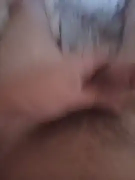 amir-dz19 live cam on Stripchat
