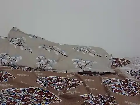 Laila_Cute