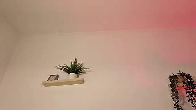 MAIILY_MOON_