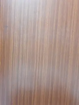 Teri_lella