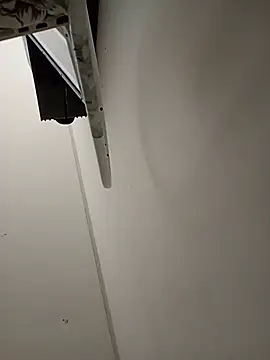 Palom2026的直播畫面