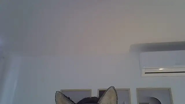 SkinnyKitten