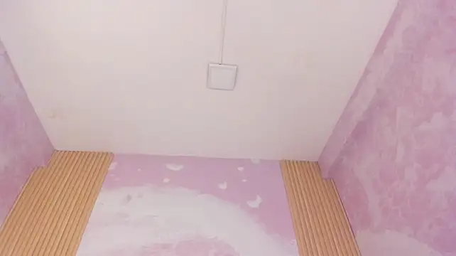 sofiiacarson