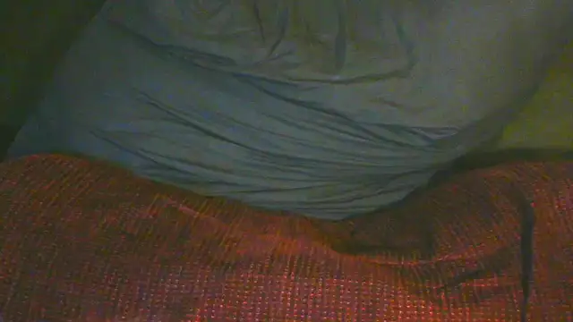 TransCya2024 live cam on Stripchat