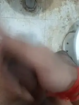 adabat live cam on Stripchat