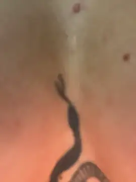 bustyangelxxx (F young) - SQUIRT FOR YOU💦💦💦💦