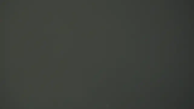 TariLechliter live cam