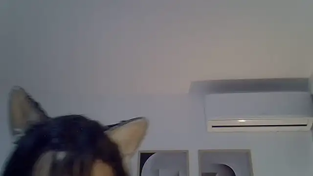 SkinnyKitten live cam on Stripchat