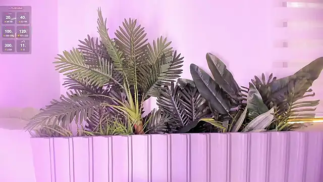 stephanymonroe