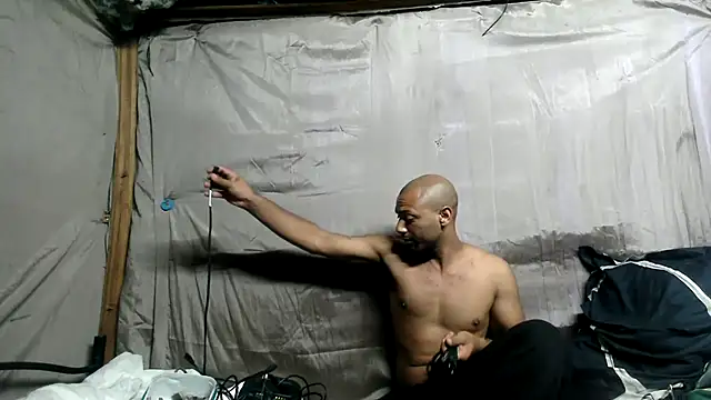 Camodick live cam on Stripchat