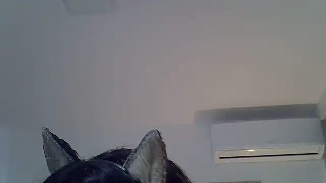 SkinnyKitten live cam on Stripchat