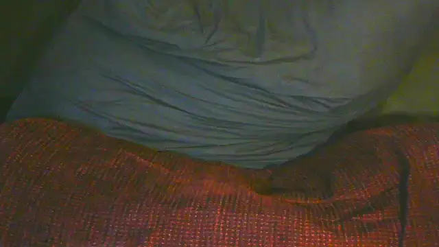 TransCya2024 live cam on Stripchat