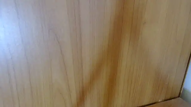 Pamela-StripX