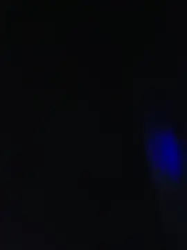 mavin_ (M young) - lets cum together
