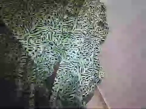 telugumodda4697 (M young) - #anal #bbc #big-cocks #brunettes #cam2cam #cheapest-privates #creampie #cumshot #handy #indian #masturbation #muscular #small-audience #straight #telugu #young