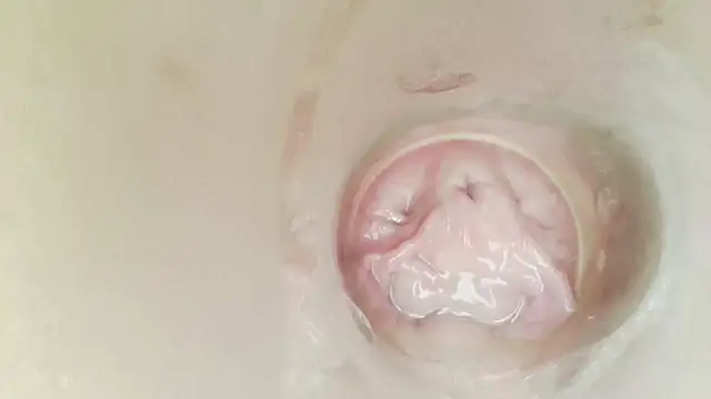 karol_stomの配信中の画面